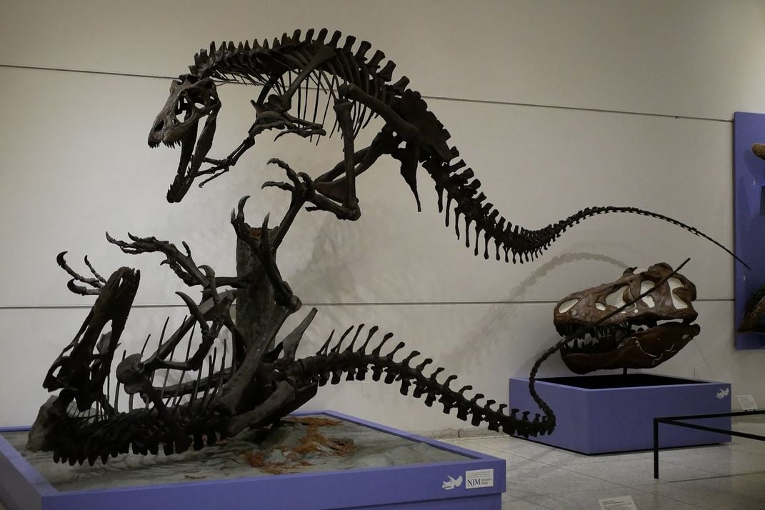 Dryptosaurus