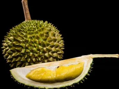Durian