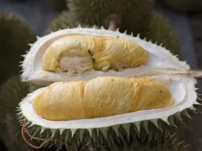 Durian fruit