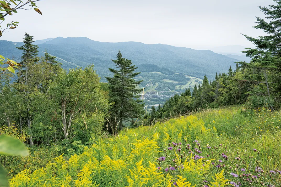 View