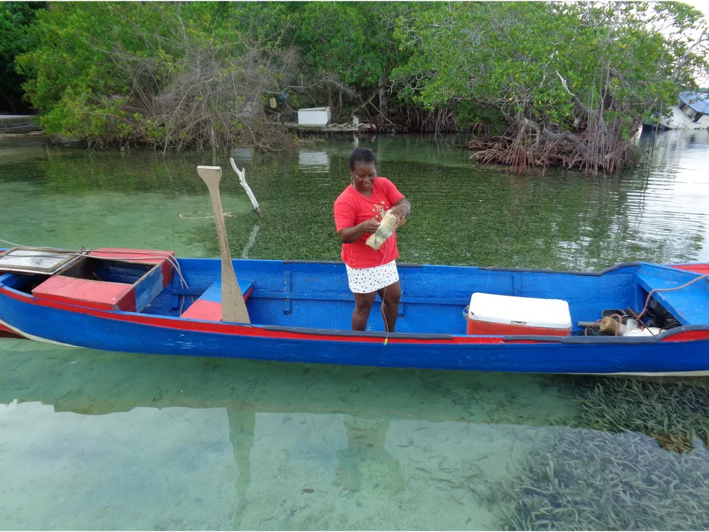 A woman in a red shirt stands on a wooden blue canoe beside a mangrove shoreline, unwinding a fishing net.