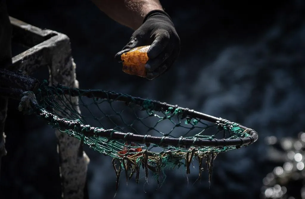 mining amber.jpg