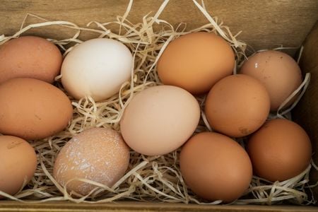 eggs nestled in straw
