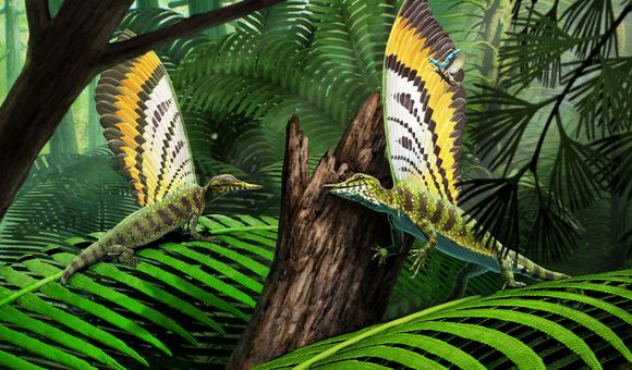 Pic 1 - Life Reconstruction Mirasaura_Copyright Gabriel Ugueto.jpg