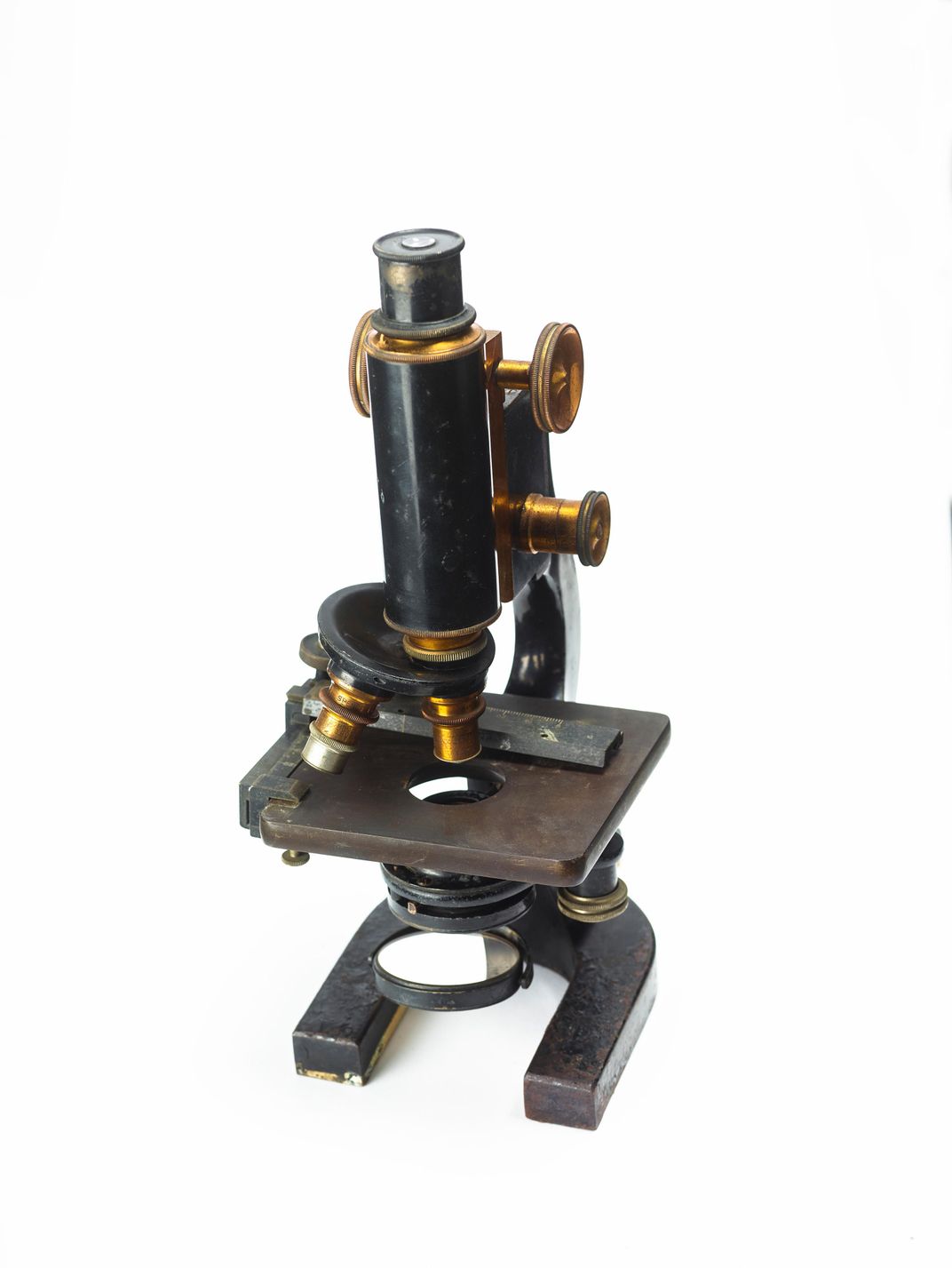 microscope