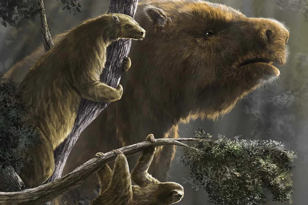 Ancient Sloths