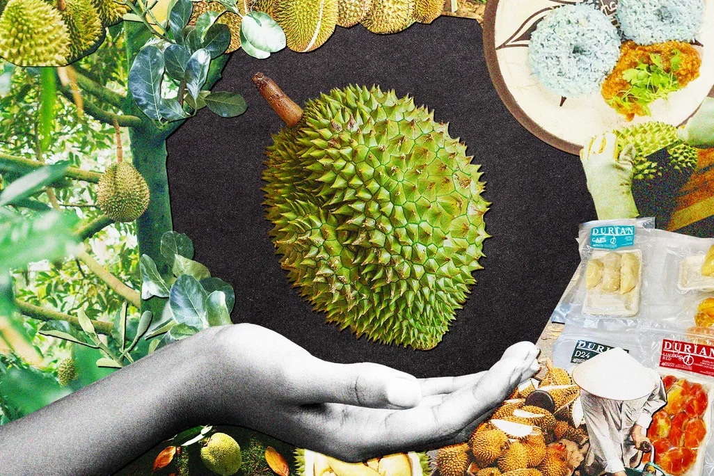 Smithmag-Podcast-S03-Ep12-Durian-article.jpg