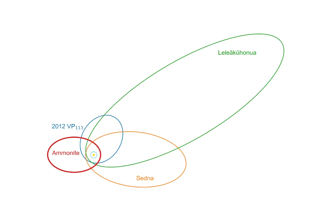 Illustration of the orbit of the four known sednoids. The central dotted circle is Neptune's orbit.