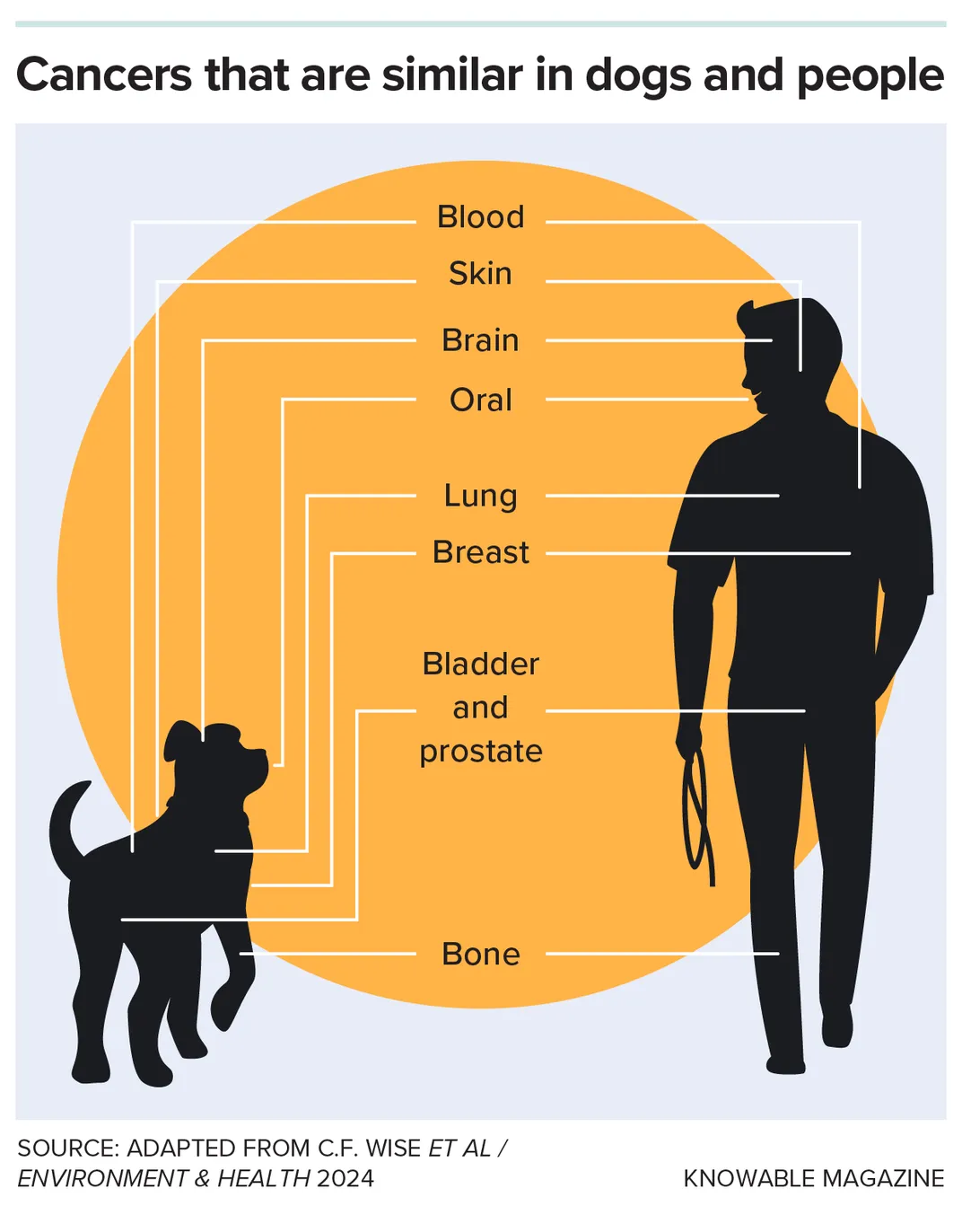Cancers in Dogs and People