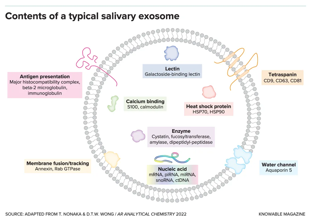 Is Saliva the Next Frontier in Cancer Detection?