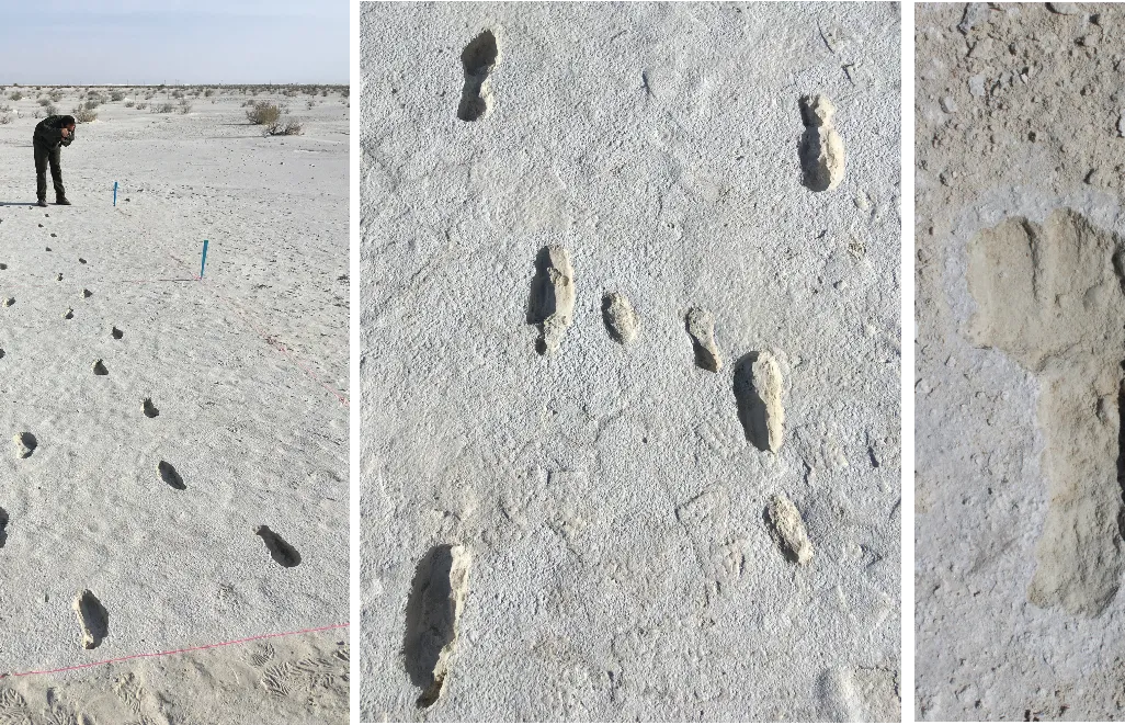 White Sands footprints